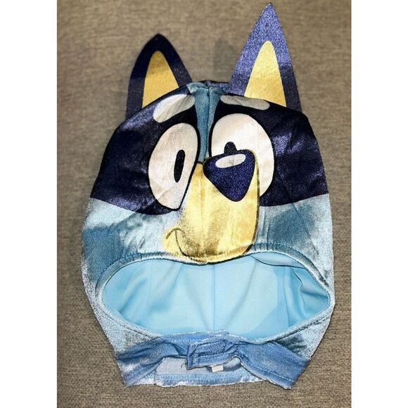 Bluey costume size 3T/4T - Picture 4 of 7